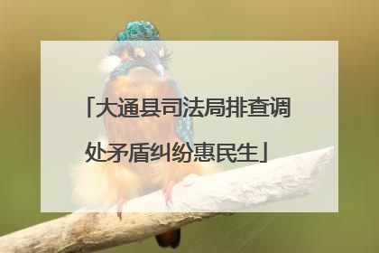 大通县司法局排查调处矛盾纠纷惠民生