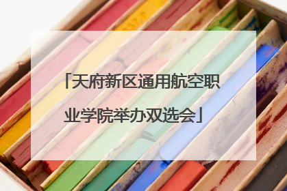 天府新区通用航空职业学院举办双选会