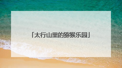 太行山里的猕猴乐园