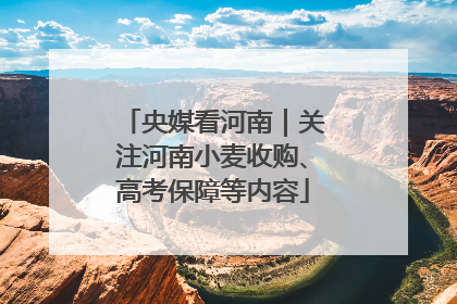 央媒看河南｜关注河南小麦收购、高考保障等内容