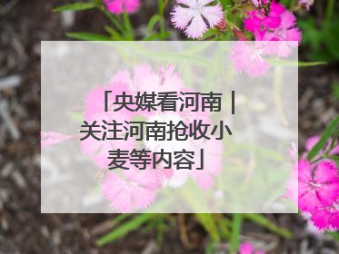 央媒看河南｜关注河南抢收小麦等内容