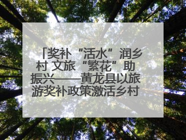 奖补“活水”润乡村 文旅“繁花”助振兴——黄龙县以旅游奖补政策激活乡村振兴新动能