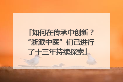 如何在传承中创新？“浙派中医”们已进行了十三年持续探索