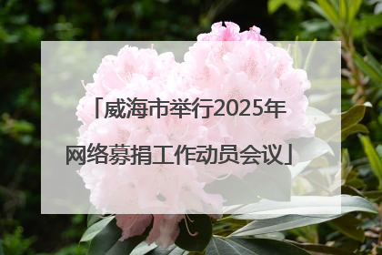 威海市举行2025年网络募捐工作动员会议