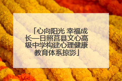 心向阳光 幸福成长—日照莒县文心高级中学构建心理健康教育体系掠影