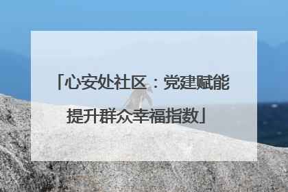 心安处社区：党建赋能 提升群众幸福指数