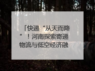 快递“从天而降”！河南探索寄递物流与低空经济融合发展｜一线