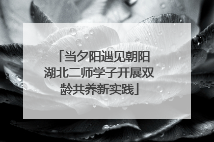 当夕阳遇见朝阳 湖北二师学子开展双龄共养新实践