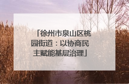 徐州市泉山区桃园街道：以协商民主赋能基层治理