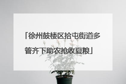 徐州鼓楼区拾屯街道多管齐下助农抢收夏粮