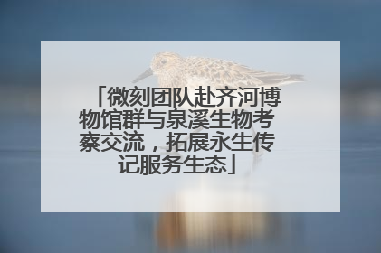 微刻团队赴齐河博物馆群与泉溪生物考察交流，拓展永生传记服务生态