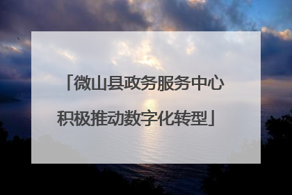 微山县政务服务中心积极推动数字化转型