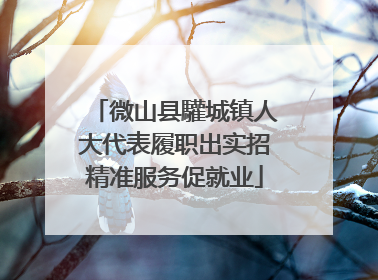 微山县驩城镇人大代表履职出实招精准服务促就业