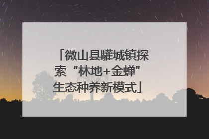 微山县驩城镇探索“林地+金蝉”生态种养新模式