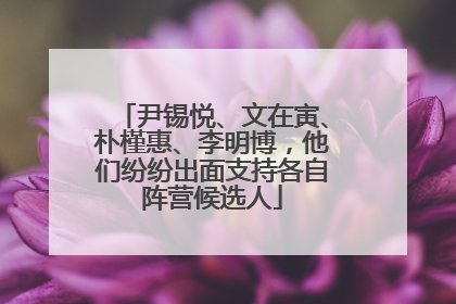 尹锡悦、文在寅、朴槿惠、李明博，他们纷纷出面支持各自阵营候选人