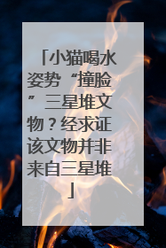 小猫喝水姿势“撞脸”三星堆文物？经求证该文物并非来自三星堆