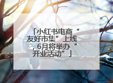 小红书电商“友好市集”上线，6月将举办“开业活动”