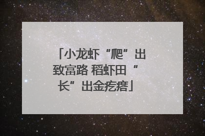 小龙虾“爬”出致富路 稻虾田“长”出金疙瘩