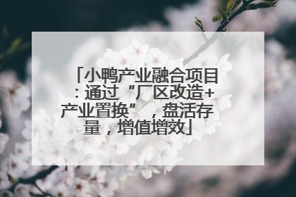 小鸭产业融合项目：通过“厂区改造+产业置换”，盘活存量，增值增效
