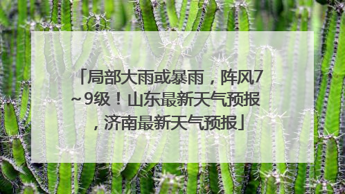局部大雨或暴雨，阵风7～9级！山东最新天气预报，济南最新天气预报