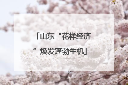 山东“花样经济”焕发蓬勃生机
