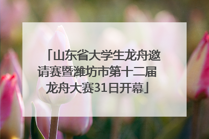 山东省大学生龙舟邀请赛暨潍坊市第十二届龙舟大赛31日开幕