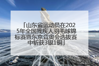 山东省运动员在2025年全国残疾人羽毛球锦标赛暨东京聋奥会选拔赛中斩获3银1铜