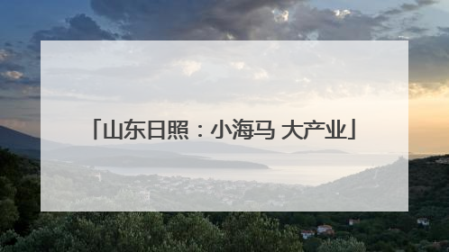 山东日照：小海马 大产业