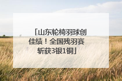 山东轮椅羽球创佳绩！全国残羽赛斩获3银1铜