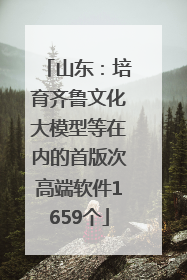 山东：培育齐鲁文化大模型等在内的首版次高端软件1659个