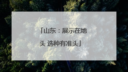 山东：展示在地头 选种有准头