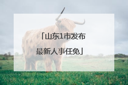 山东1市发布最新人事任免