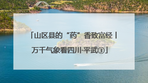 山区县的“药”香致富经丨万千气象看四川·平武③