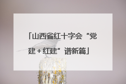 山西省红十字会“党建＋红建”谱新篇