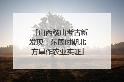 山西稷山考古新发现：东周时期北方旱作农业实证