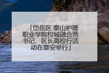 岱岳区 泰山护理职业学院校城融合暨书记、区长高校行活动在泰安举行