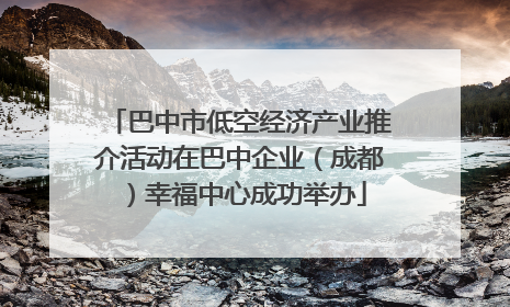 巴中市低空经济产业推介活动在巴中企业（成都）幸福中心成功举办