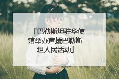 巴勒斯坦驻华使馆举办声援巴勒斯坦人民活动