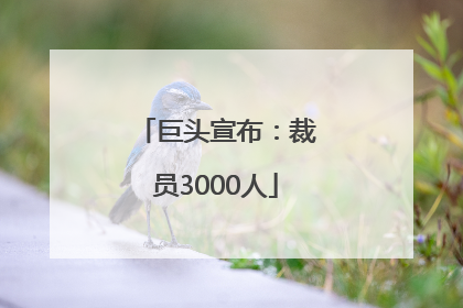 巨头宣布：裁员3000人