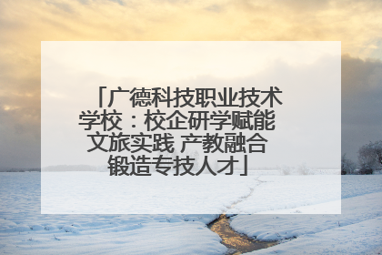 广德科技职业技术学校：校企研学赋能文旅实践 产教融合锻造专技人才