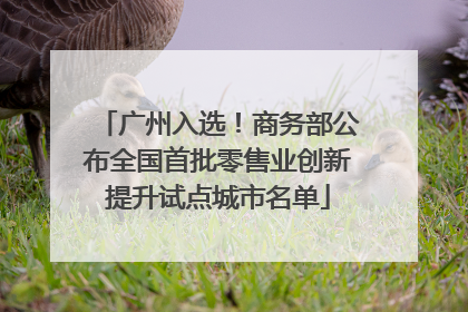 广州入选！商务部公布全国首批零售业创新提升试点城市名单