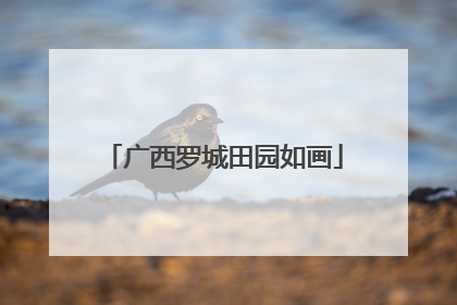 广西罗城田园如画