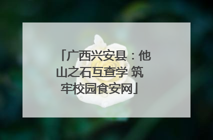 广西兴安县：他山之石互查学 筑牢校园食安网