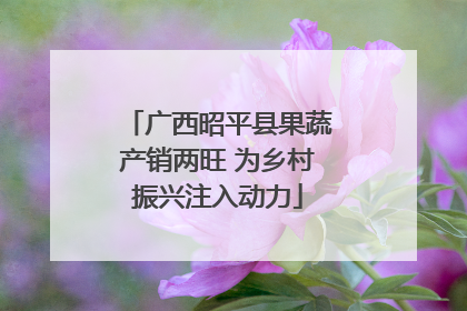 广西昭平县果蔬产销两旺 为乡村振兴注入动力