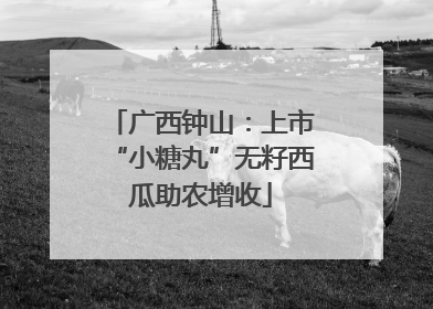 广西钟山：上市“小糖丸”无籽西瓜助农增收