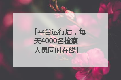 平台运行后，每天4000名检察人员同时在线