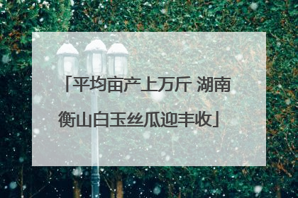 平均亩产上万斤 湖南衡山白玉丝瓜迎丰收