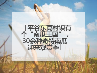 平谷东高村镇有个“南瓜王国”，30余种奇特南瓜迎来观赏季