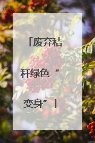 废弃秸秆绿色“变身”
