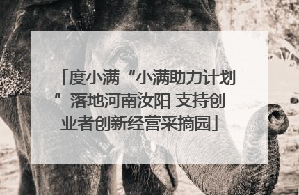 度小满“小满助力计划”落地河南汝阳 支持创业者创新经营采摘园